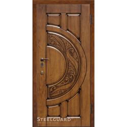 Двері Steelguard Mercury