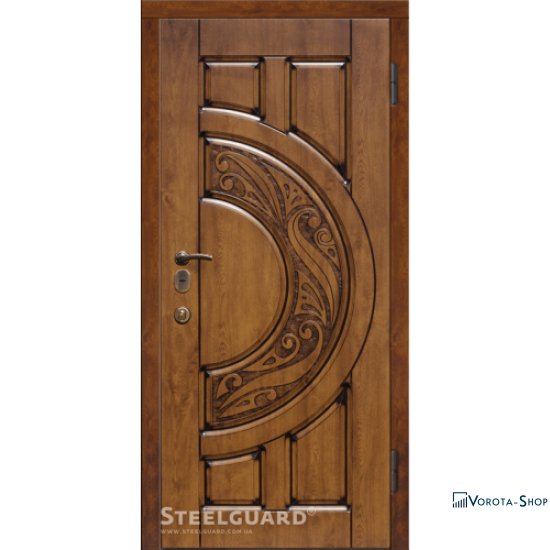 Двері Steelguard Mercury