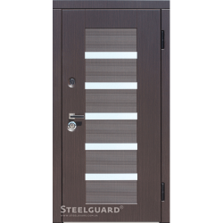 Двері Steelguard Milano