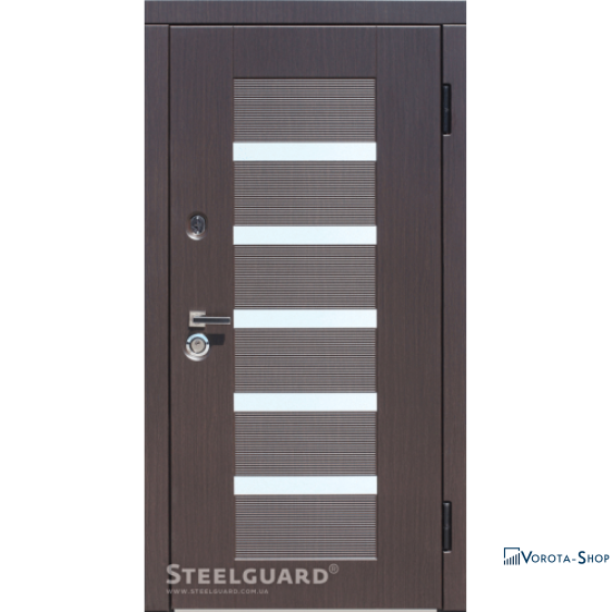 Двері Steelguard Milano