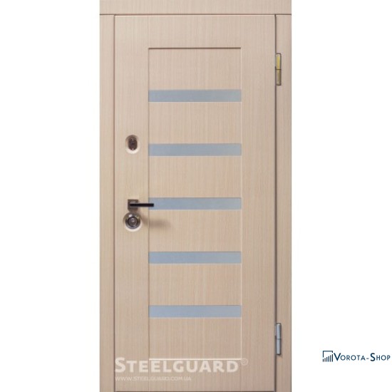 Двері Steelguard Milano