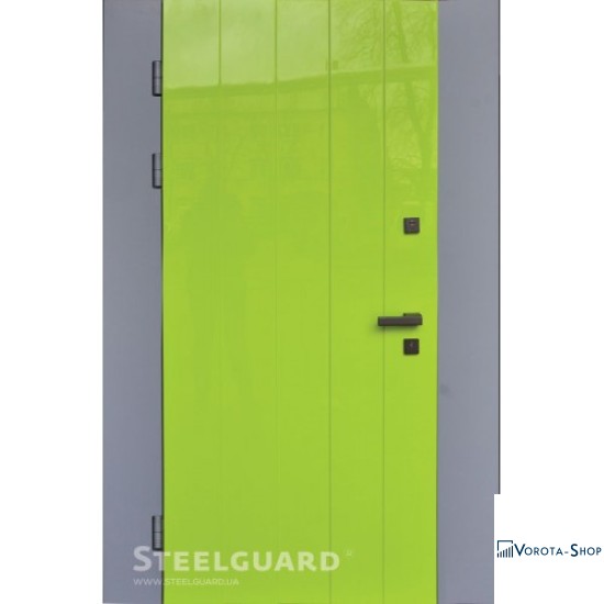 Двері Steelguard Модель №1