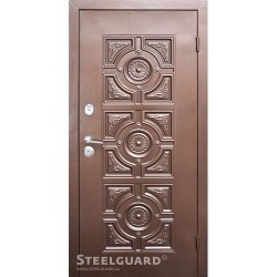 Двері Steelguard Модель №11