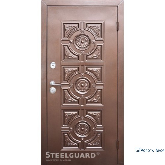 Двері Steelguard Модель №11
