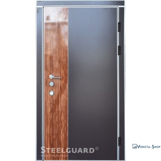 Двері Steelguard Модель №2