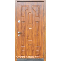 Двері Steelguard Модель №9