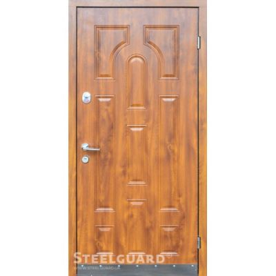 Двери Steelguard Модель №9 - Фото 1