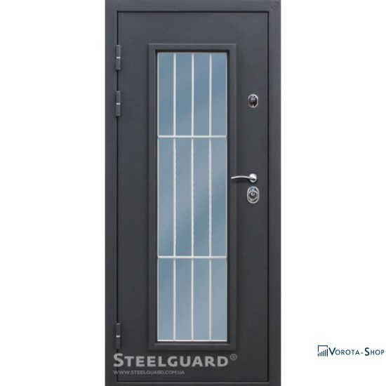 Двери Steelguard Monolith