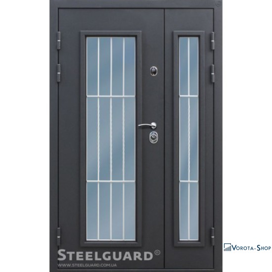 Двері Steelguard Monolith big