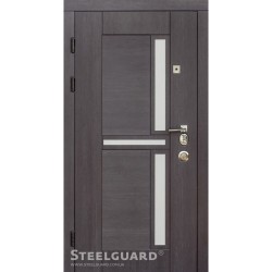 Двері Steelguard Neoline