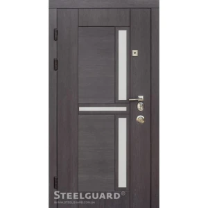 Двері Steelguard Neoline
