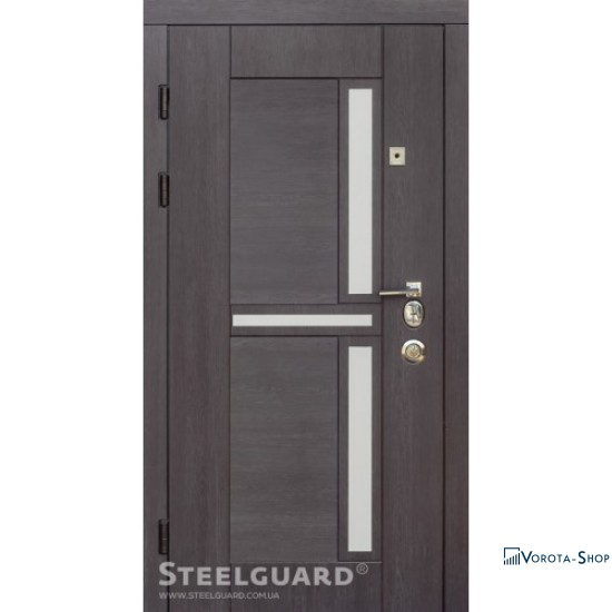 Двері Steelguard Neoline