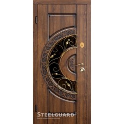 Двері Steelguard Optima glass