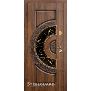 Двері Steelguard Optima glass