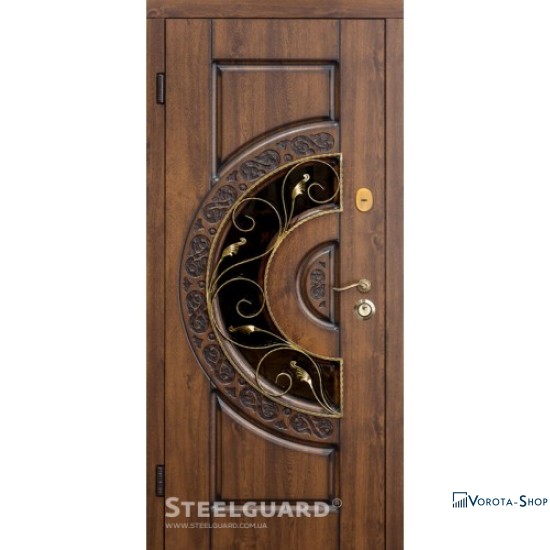 Двері Steelguard Optima glass