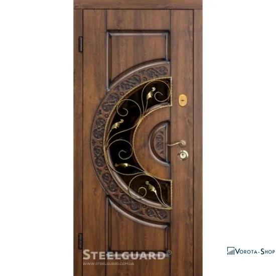 Двері Steelguard Optima glass