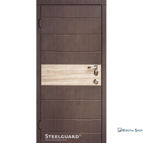 Двері Steelguard Orlando
