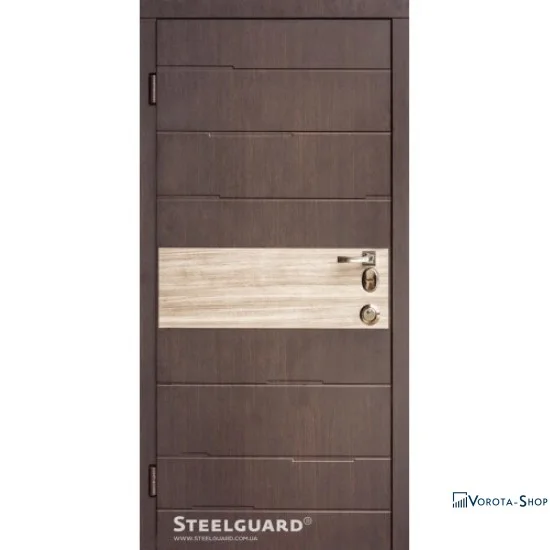 Двери Steelguard Orlando