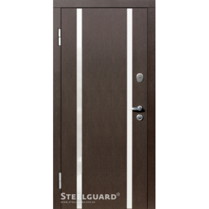 Двері Steelguard Perfecta