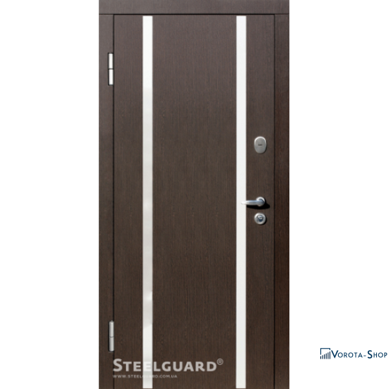Двері Steelguard Perfecta