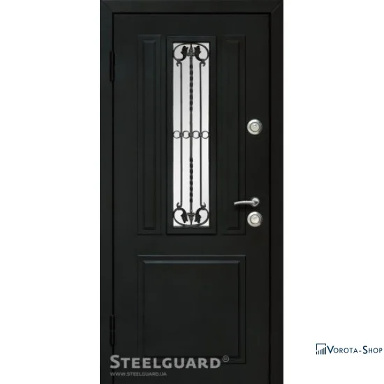 Двері Steelguard Podil