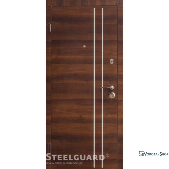 Двері Steelguard Retta-V