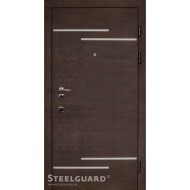 Двері Steelguard Rizor