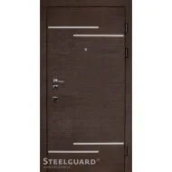 Двері Steelguard Rizor