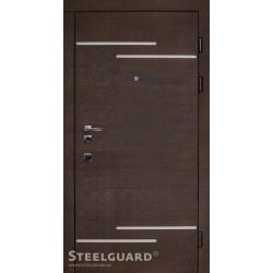 Двери Steelguard Rizor