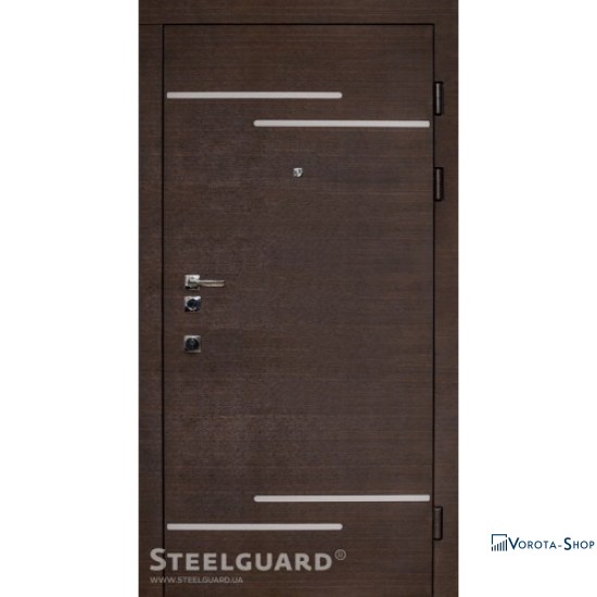 Двері Steelguard Rizor