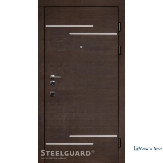 Двери Steelguard Rizor
