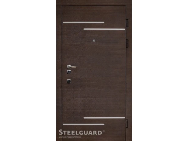 Двери Steelguard Rizor