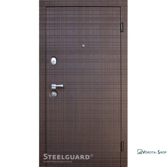Двері Steelguard Scotch