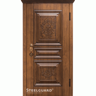 Двери Steelguard  SG-21 - Фото 1