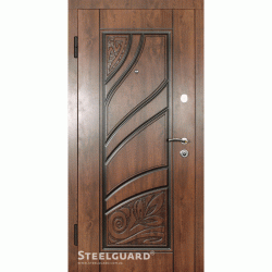 Двері Steelguard Spring