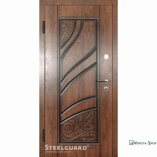 Двері Steelguard Spring