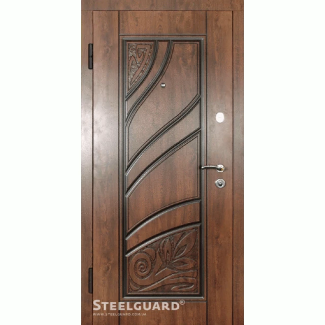 Двері Steelguard Spring