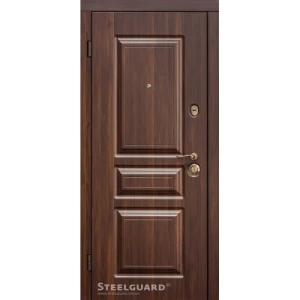 Двері Steelguard TermoScreen