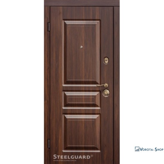Двері Steelguard TermoScreen