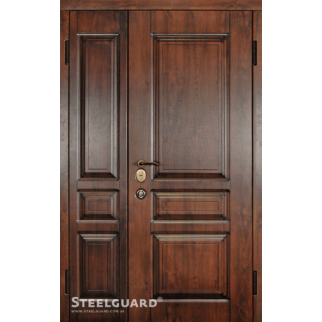 Двері Steelguard TermoScreen big