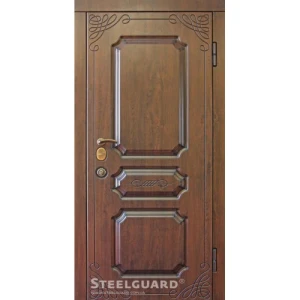Двері Steelguard TermoScreen new