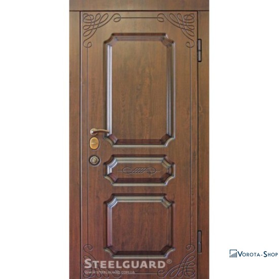 Двері Steelguard TermoScreen new