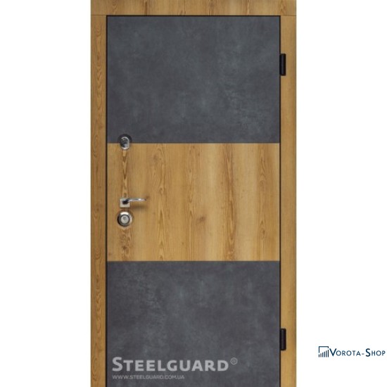 Двері Steelguard Vega