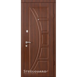Двері Steelguard Vela