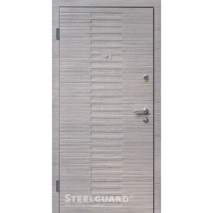 Двері Steelguard Vesta