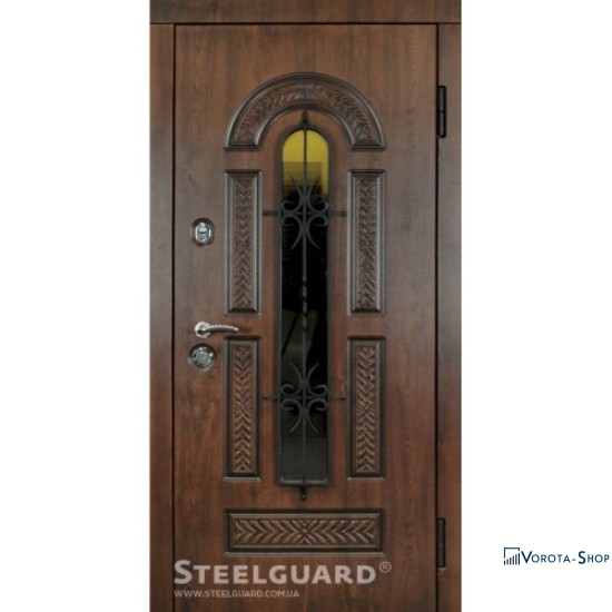 Двері Steelguard Vikont
