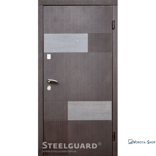 Двері Steelguard Volcano