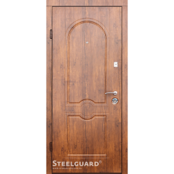 Двері Steelguard Volto