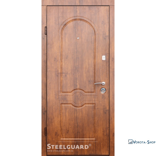 Двері Steelguard Volto