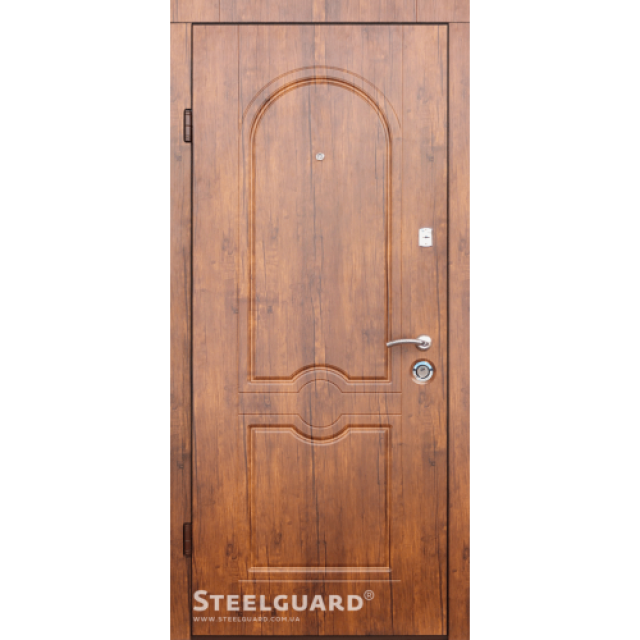 Двері Steelguard Volto